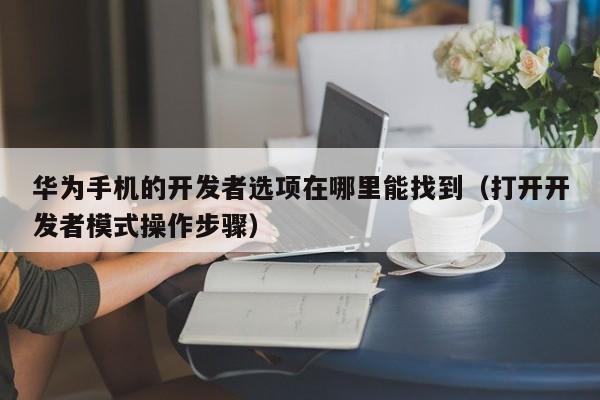 华为手机的开发者选项在哪里能找到（打开开发者模式操作步骤）