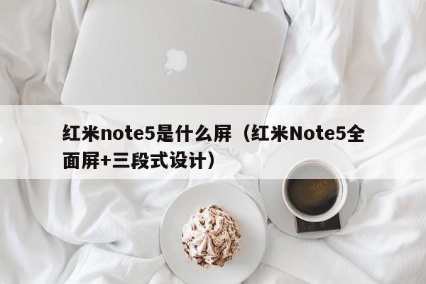 红米note5是什么屏(红米Note5全面屏+三段式设计)