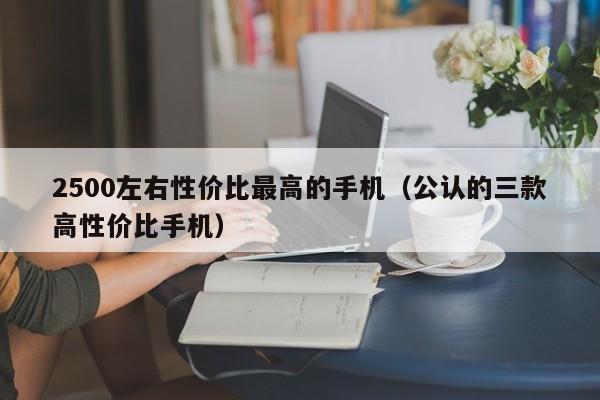 2500左右性价比最高的手机(公认的三款高性价比手机)