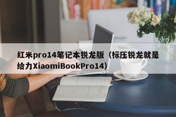 红米pro14笔记本锐龙版(标压锐龙就是给力XiaomiBookPro14)