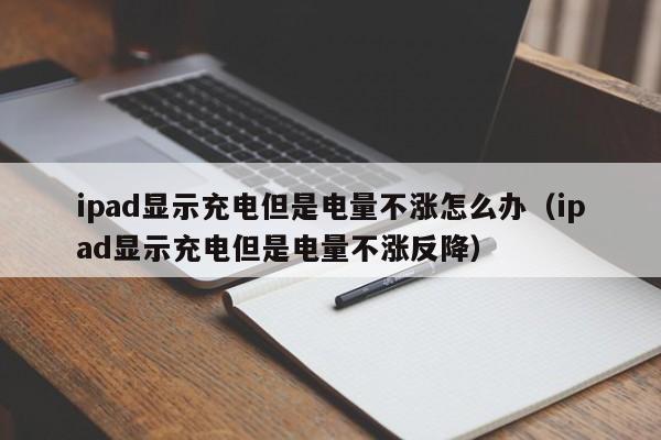 ipad充电界面图片